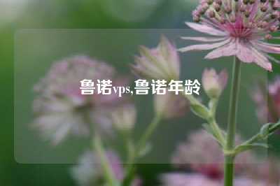 鲁诺vps,鲁诺年龄