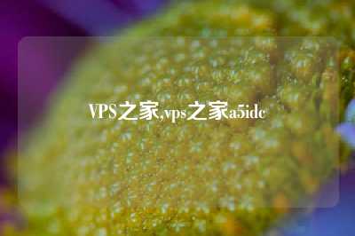 VPS之家,vps之家a5idc