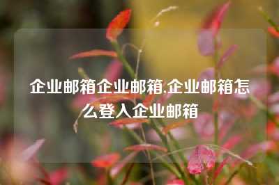 企业邮箱企业邮箱,企业邮箱怎么登入企业邮箱