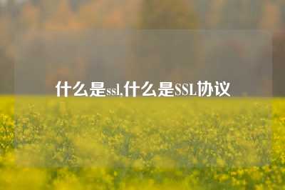 什么是ssl,什么是SSL协议