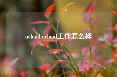 ucloud,ucloud工作怎么样