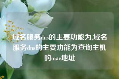 域名服务dns的主要功能为,域名服务dns的主要功能为查询主机的mac地址