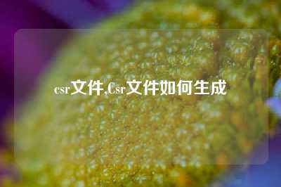 csr文件,Csr文件如何生成