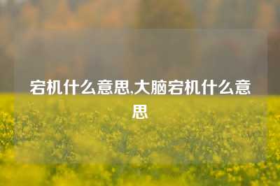 宕机什么意思,大脑宕机什么意思