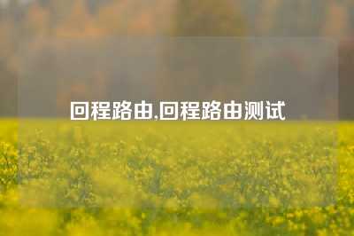 回程路由,回程路由测试