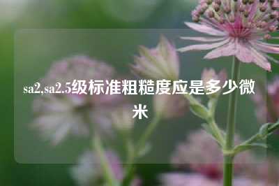 sa2,sa2.5级标准粗糙度应是多少微米