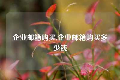企业邮箱购买,企业邮箱购买多少钱