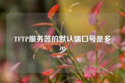 TFTP服务器的默认端口号是多少