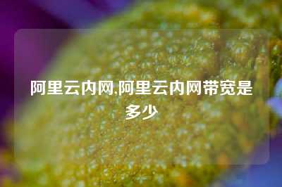阿里云内网,阿里云内网带宽是多少