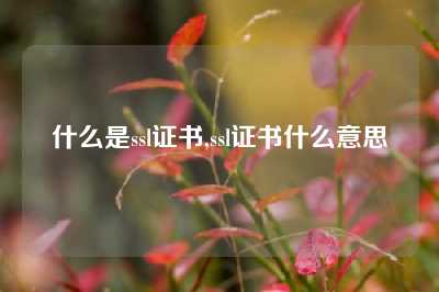 什么是ssl证书,ssl证书什么意思