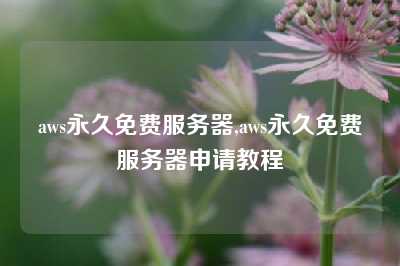 aws永久免费服务器,aws永久免费服务器申请教程