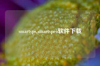 smartvps,smartvpro软件下载