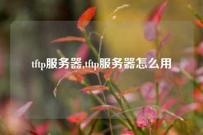 tftp服务器,tftp服务器怎么用