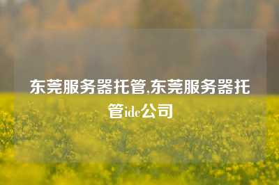 东莞服务器托管,东莞服务器托管idc公司