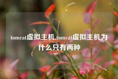 tomcat虚拟主机,tomcat虚拟主机为什么只有两种