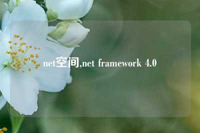 net空间,net framework 4.0