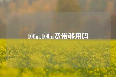 100m,100m宽带够用吗