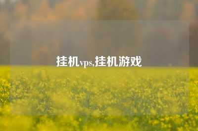 挂机vps,挂机游戏