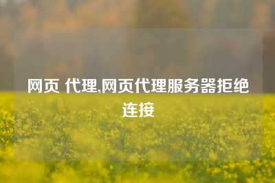 网页 代理,网页代理服务器拒绝连接