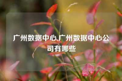 广州数据中心,广州数据中心公司有哪些