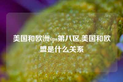 美国和欧洲vps第八区,美国和欧盟是什么关系