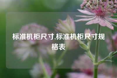 标准机柜尺寸,标准机柜尺寸规格表