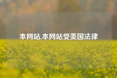 本网站,本网站受美国法律