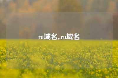 ru域名,.ru域名