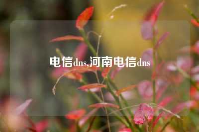 电信dns,河南电信dns