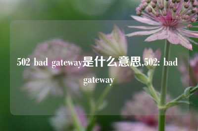 502 bad gateway是什么意思,502: bad gateway
