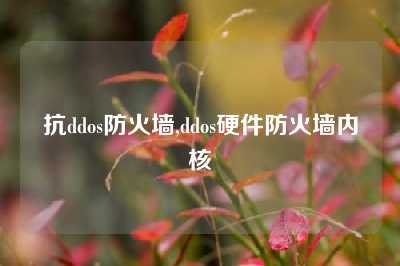抗ddos防火墙,ddos硬件防火墙内核