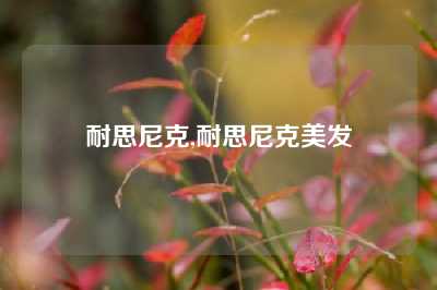 耐思尼克,耐思尼克美发