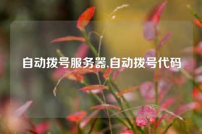 自动拨号服务器,自动拨号代码