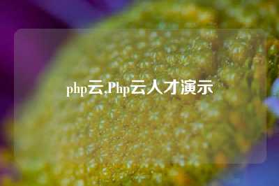 php云,Php云人才演示
