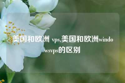 美国和欧洲 vps,美国和欧洲windowsvps的区别