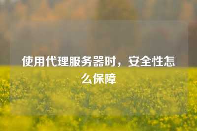 使用代理服务器时，安全性怎么保障