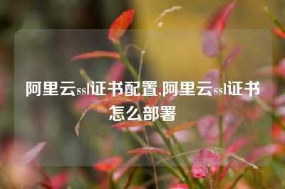 阿里云ssl证书配置,阿里云ssl证书怎么部署