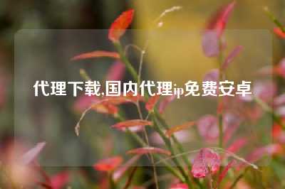 代理下载,国内代理ip免费安卓