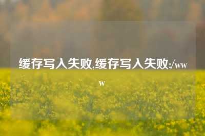 缓存写入失败,缓存写入失败:/www