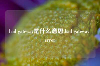 bad gateway是什么意思,bad gateway error