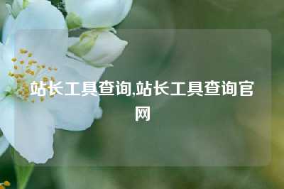 站长工具查询,站长工具查询官网