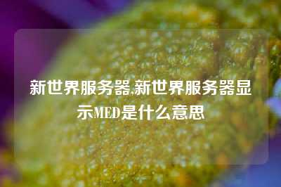 新世界服务器,新世界服务器显示MED是什么意思