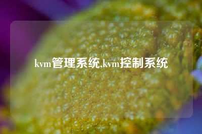 kvm管理系统,kvm控制系统