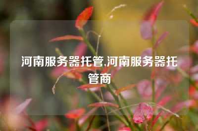 河南服务器托管,河南服务器托管商
