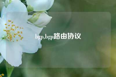 bgp,bgp路由协议