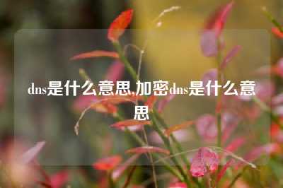 dns是什么意思,加密dns是什么意思