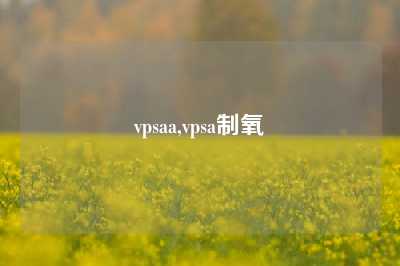 vpsaa,vpsa制氧