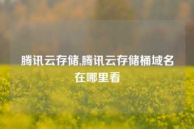 腾讯云存储,腾讯云存储桶域名在哪里看