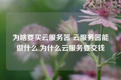 为啥要买云服务器 云服务器能做什么,为什么云服务要交钱