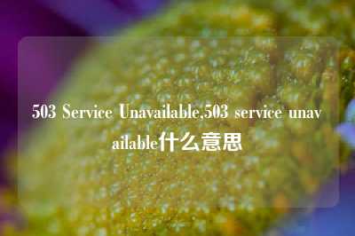 503 Service Unavailable,503 service unavailable什么意思